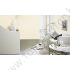 Kép 3/7 - TF00520231 strukturált tapéta