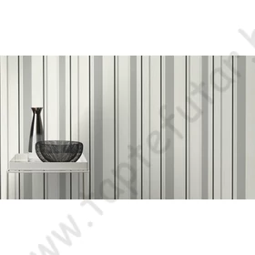 Kép 6/6 - TF00536256 csíkos tapéta