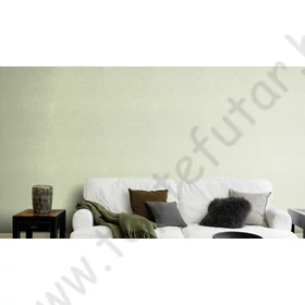 Kép 3/3 - TF00617368 strukturált tapéta