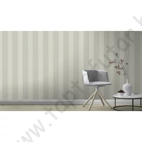 Kép 5/5 - TF00633474 csíkos tapéta