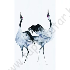 Kép 2/2 - TF30034595 darumadaras fehér tapétaposzter (159x270cm)