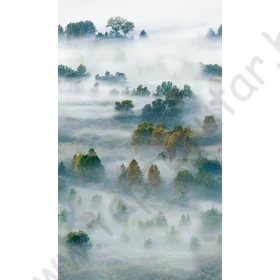 Kép 2/3 - TF30096467 erdőmintás szürke tapétaposzter (159x270cm)
